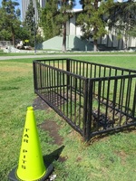 tar on the lawn3 6-14 - Copy.JPG